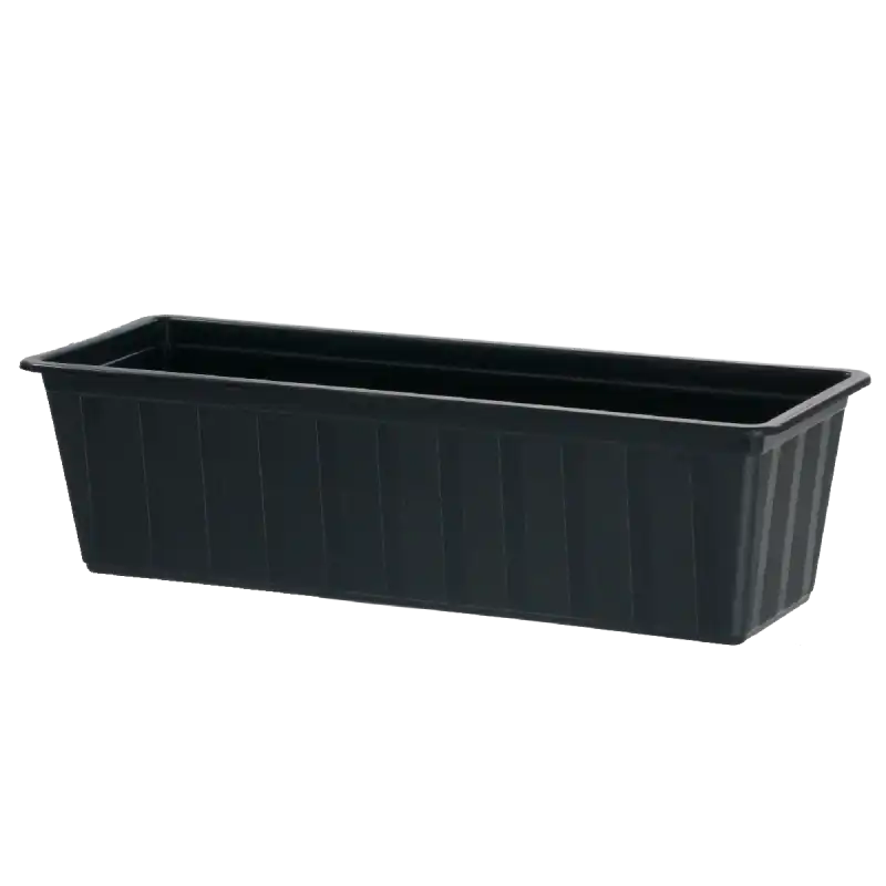 Skrzynka balkonowa Prosperplast Agro w kolorze antracyt o długości 50 cm. Pojemnik z tworzywa sztucznego o prostokątnym kształcie, ukazany w ujęciu z perspektywy trzech czwartych, idealny do ekspozycji roślin na balkonie.
