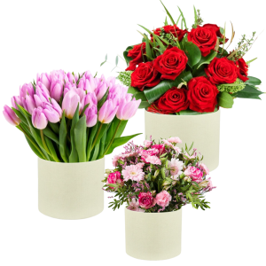 Zestaw trzech flowerboxów wypełnionych różnymi gatunkami kwiatów, w tym różami i tulipanami. Pudełka pełnią funkcję eleganckiej podstawy dla bukietów na różne okazje.