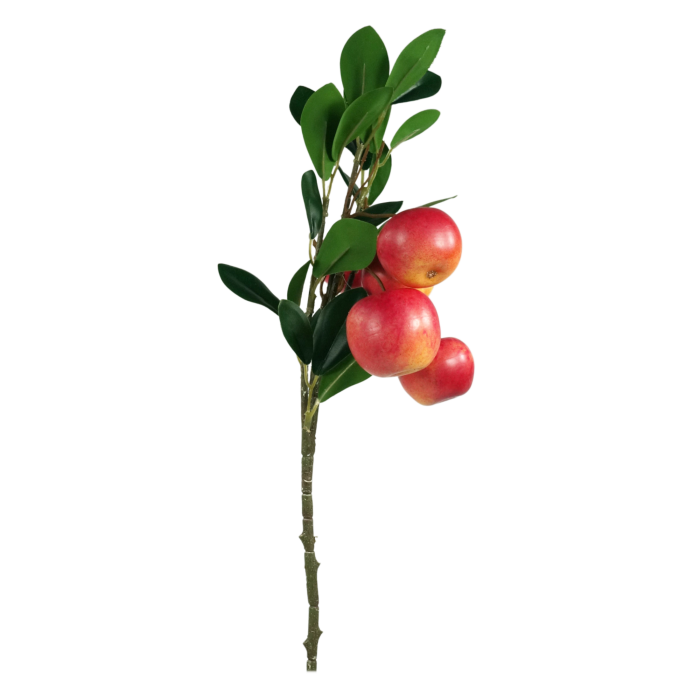 Zbliżenie na detale owoców i zielone liście umieszczone na gałązce. Produkt doskonały do kompozycji florystycznych.