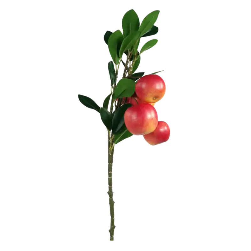 Zbliżenie na detale owoców i zielone liście umieszczone na gałązce. Produkt doskonały do kompozycji florystycznych.