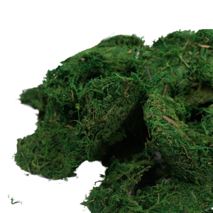 Kadr prezentujący teksturę i intensywny kolor zielonego mchu 1 kg. Często wybierany susz kwiatowy do wnętrz i projektów florystycznych.