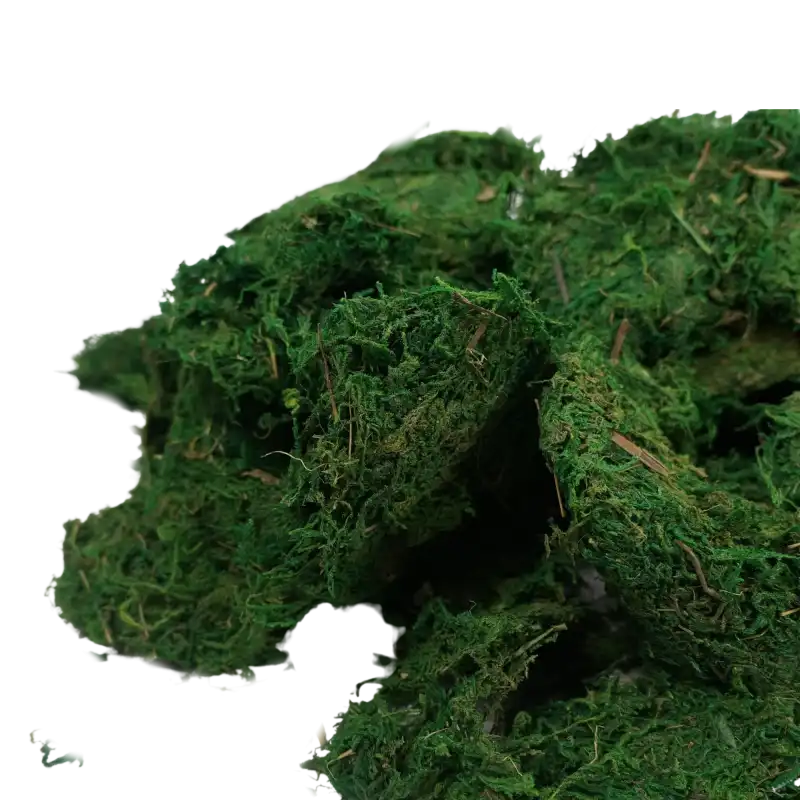Kadr prezentujący teksturę i intensywny kolor zielonego mchu 1 kg. Często wybierany susz kwiatowy do wnętrz i projektów florystycznych.