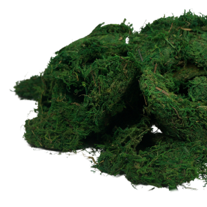 Zbliżenie na zielony suchy mech o wadze 1 kg. To profesjonalny susz kwiatowy wykorzystywany jako baza do stylowych kompozycji oraz popularne artykuły dekoracyjne.