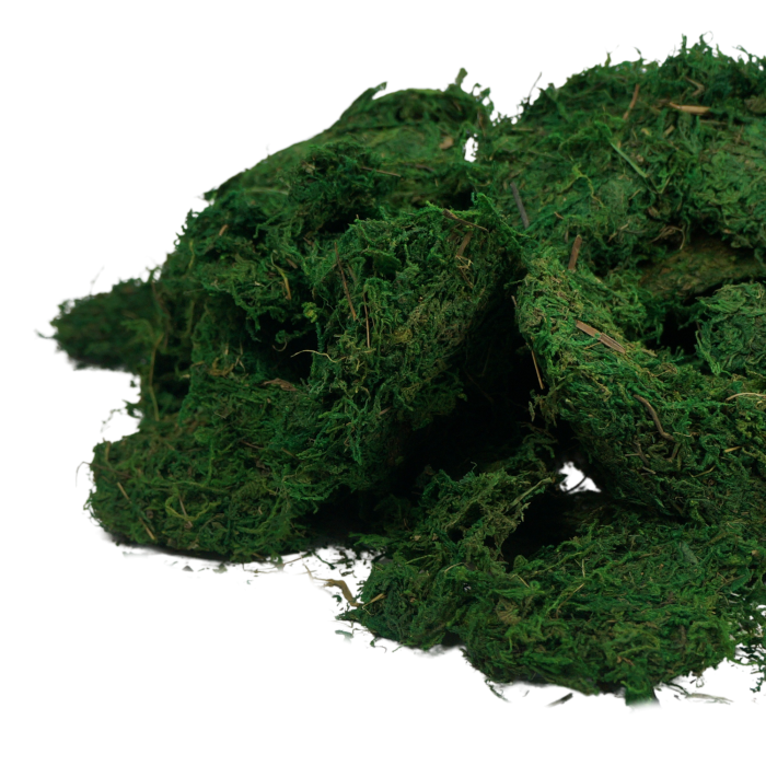 Zbliżenie na zielony suchy mech o wadze 1 kg. To profesjonalny susz kwiatowy wykorzystywany jako baza do stylowych kompozycji oraz popularne artykuły dekoracyjne.