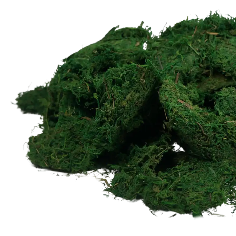 Zbliżenie na zielony suchy mech o wadze 1 kg. To profesjonalny susz kwiatowy wykorzystywany jako baza do stylowych kompozycji oraz popularne artykuły dekoracyjne.