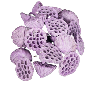 Zestaw 25 sztuk suszonych kwiatów lotosu w pastelowym odcieniu fioletu o średnicy 8-10 cm. Egzotyczny element do stroików.