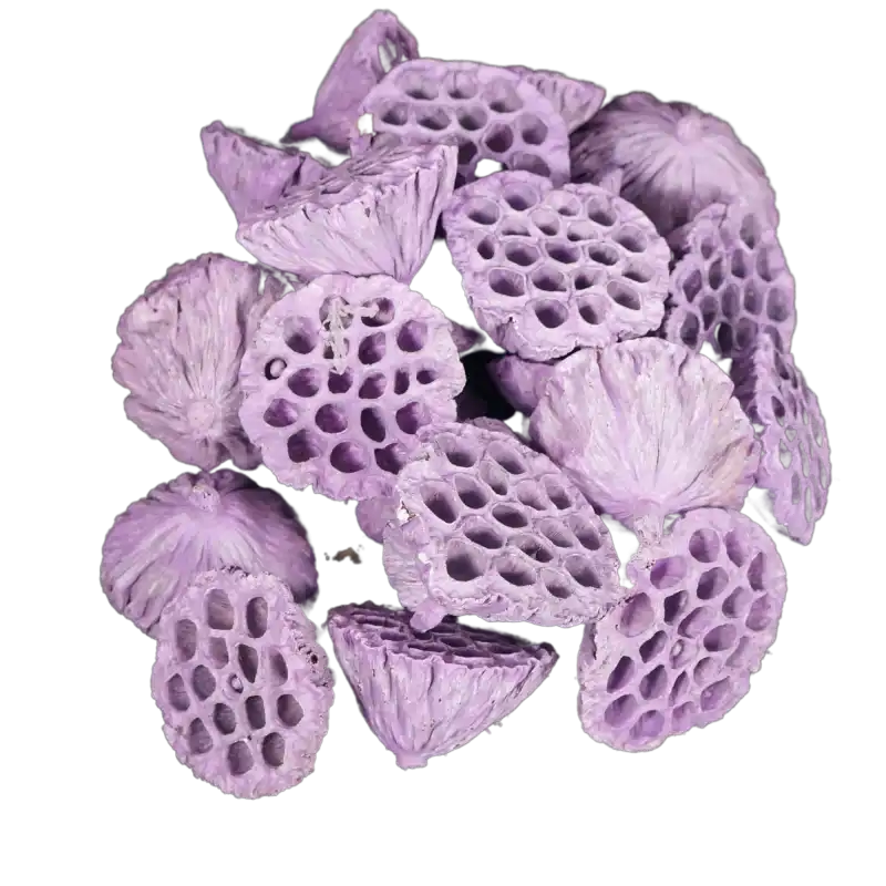 Zestaw 25 sztuk suszonych kwiatów lotosu w pastelowym odcieniu fioletu o średnicy 8-10 cm. Egzotyczny element do stroików.