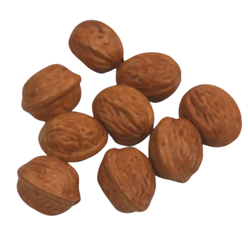Zbliżenie na strukturę brązowych orzechów dekoracyjnych. Naturalnie wyglądające ozdoby jesienne o wielkości 3,5 cm.