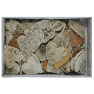 Opakowanie serc z kory brzozy o wymiarach 4x12x19 cm widoczne z góry. Przezroczyste wieczko eksponuje zawartość pudełka.