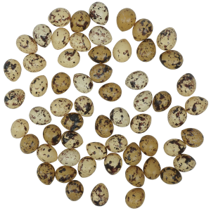 Rozsypane na płaskim podłożu jaja przepiórcze o wymiarach 3 x 2,5 cm, prezentujące naturalny, nakrapiany wzór.
