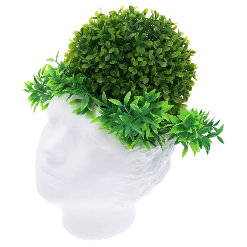 Osłonka gipsowa głowa widziana z boku, ukazująca strukturę materiału i formę rzeźby o szerokości 18 cm.