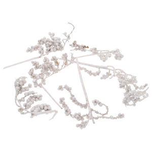 Zestaw 4 białych woskowanych gałązek Canella o długości 20-30 cm. Naturalny susz egzotyczny idealny do kompozycji florystycznych, widoczny w pełnym składzie na białym tle.