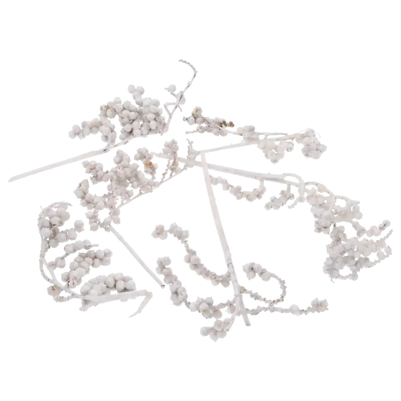 Zestaw 4 białych woskowanych gałązek Canella o długości 20-30 cm. Naturalny susz egzotyczny idealny do kompozycji florystycznych, widoczny w pełnym składzie na białym tle.