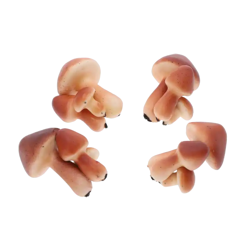 Zestaw czterech realistycznych grzybów dekoracyjnych o wysokości 7 cm i szerokości 6 cm, wykonanych ze styropianu. Idealne do tworzenia leśnych kompozycji.