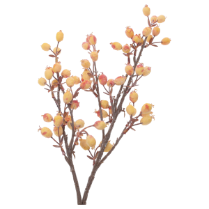 Ozdobna gałązka o długości 65 cm z dekoracyjnymi kulkami o średnicy 1,5 cm. Idealna do kompozycji florystycznych.