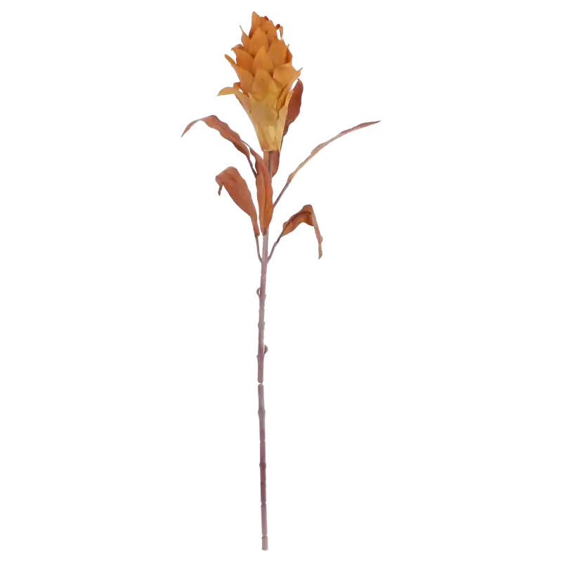 Prosta łodyga sztucznego kwiatu egzotycznego o wysokości 80 cm. Naturalny wygląd do dekoracji florystycznych.