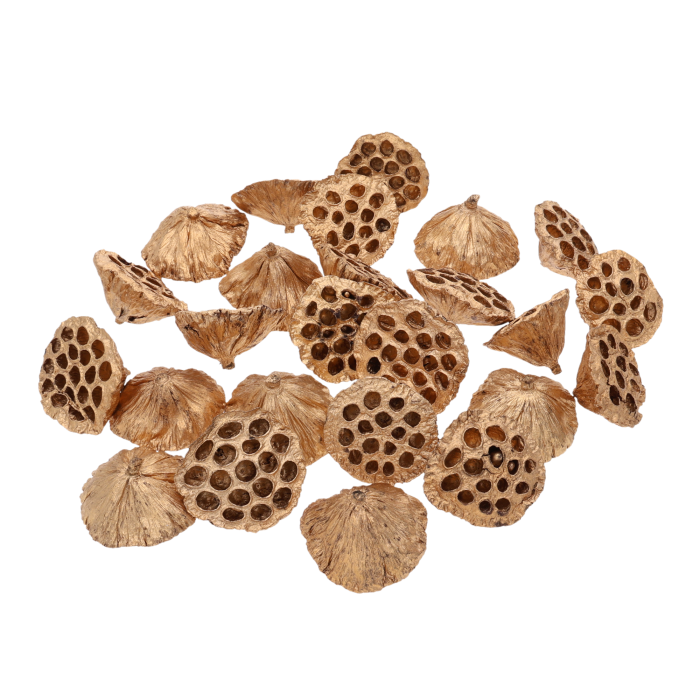 Zestaw 25 sztuk złotych kwiatów lotosu o średnicy 8-10 cm. Naturalny susz egzotyczny idealny do luksusowych stroików i kompozycji florystycznych DIY.