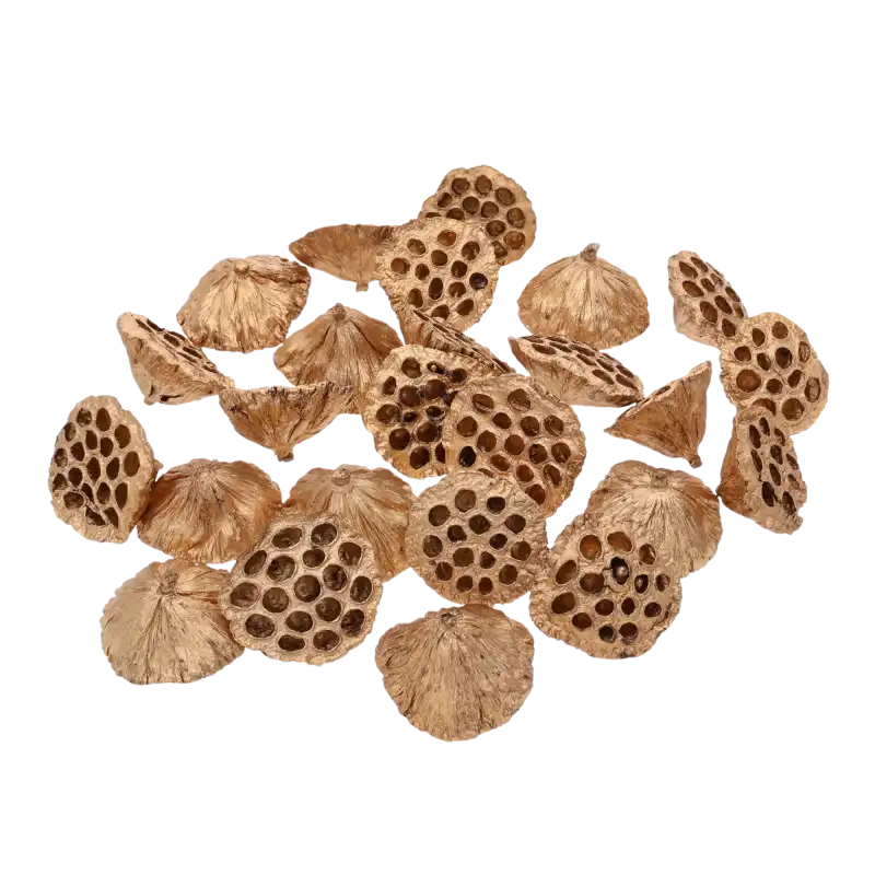 Zestaw 25 sztuk złotych kwiatów lotosu o średnicy 8-10 cm. Naturalny susz egzotyczny idealny do luksusowych stroików i kompozycji florystycznych DIY.