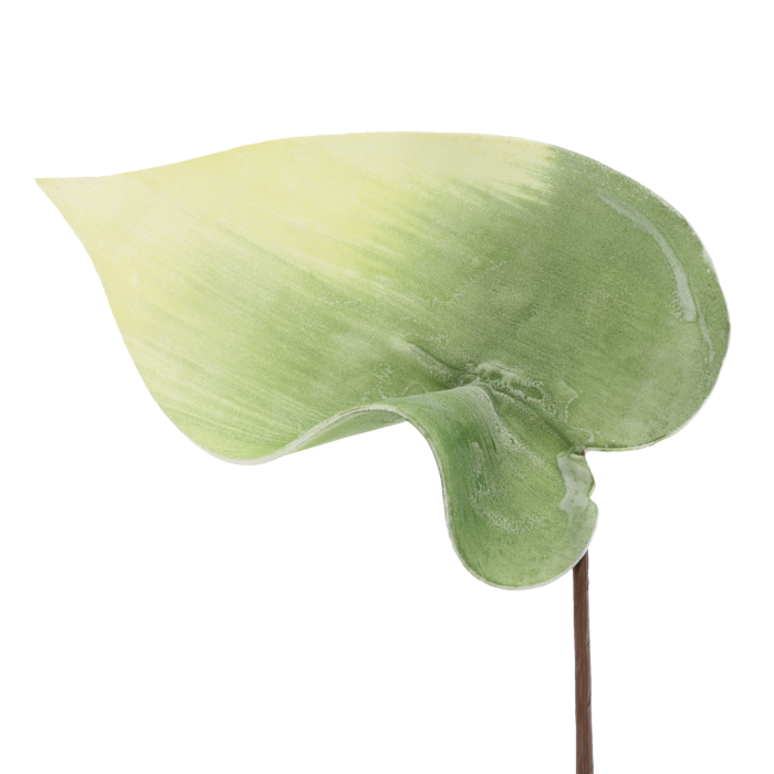 Zbliżenie na zielony piankowy liść, ukazujące jego miękką fakturę oraz naturalny kształt. Doskonały dodatek do florystyki.