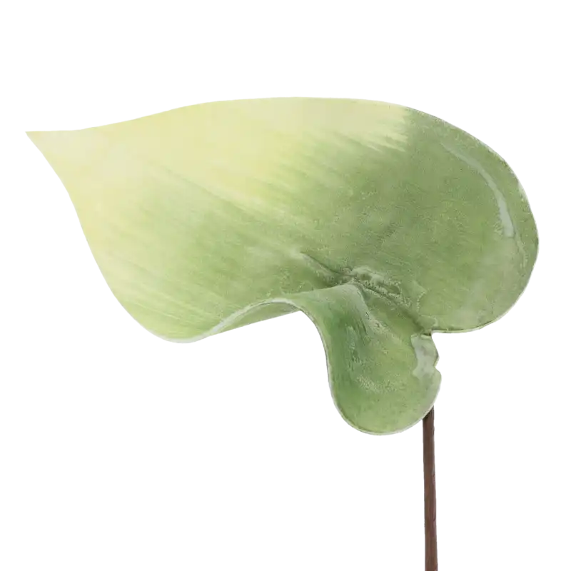 Zbliżenie na zielony piankowy liść, ukazujące jego miękką fakturę oraz naturalny kształt. Doskonały dodatek do florystyki.