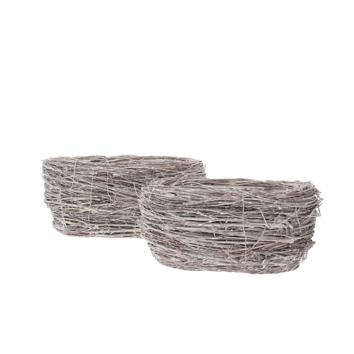 10009-downloaded-18508.png