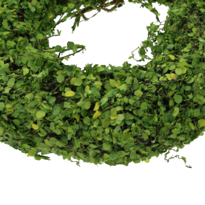 Detal faszynowego wianka ukazujący gęste zielone listki. Idealna baza florystyczna do samodzielnych projektów.