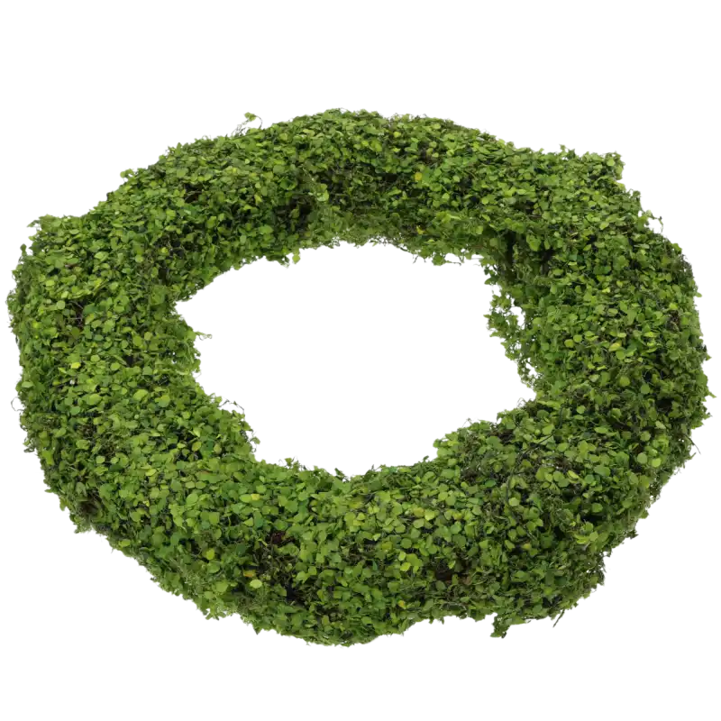 Zielony wianek faszynowy o średnicy 43-45 cm to uniwersalna baza dekoracyjna. Wykonany z naturalnej faszyny z gęstymi, zielonymi listkami, idealny do różnorodnych aranżacji.