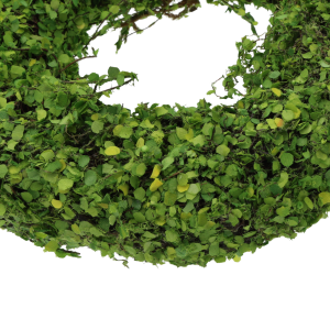 Detal wianka faszynowego 43-45 cm. Zdjęcie ukazuje gęste ułożenie listków na naturalnym podkładzie, co ułatwia mocowanie dodatkowych elementów dekoracyjnych.