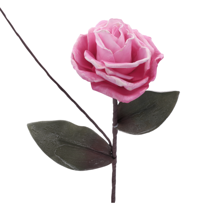10193-downloaded-18906.png