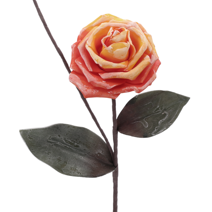 10185-downloaded-18961.png