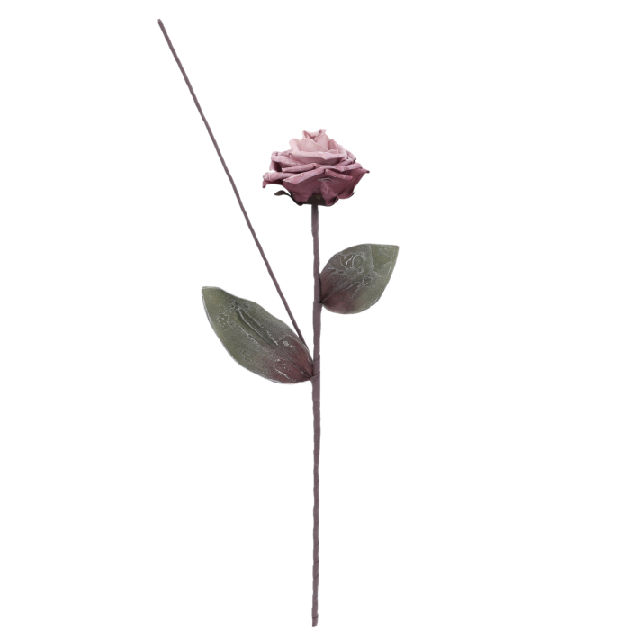10187-downloaded-18940.png