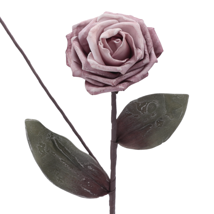 10187-downloaded-18942.png