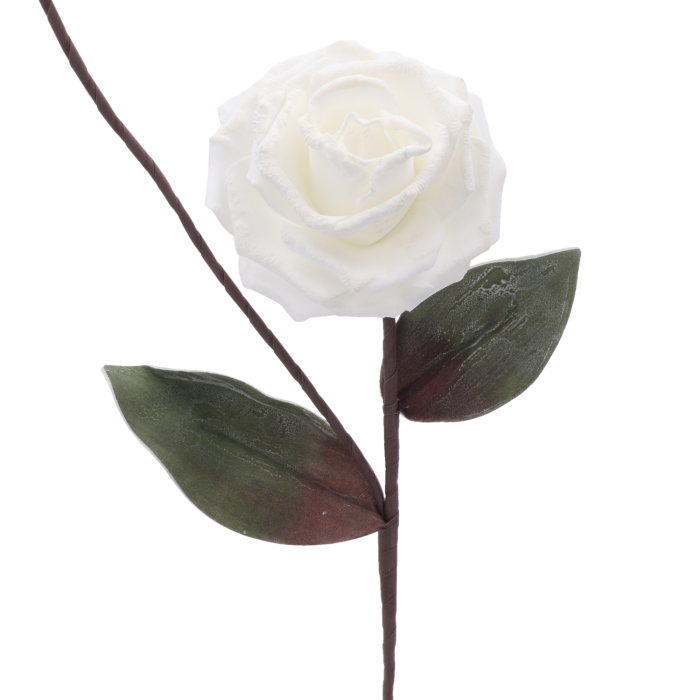 10188-downloaded-18930.png