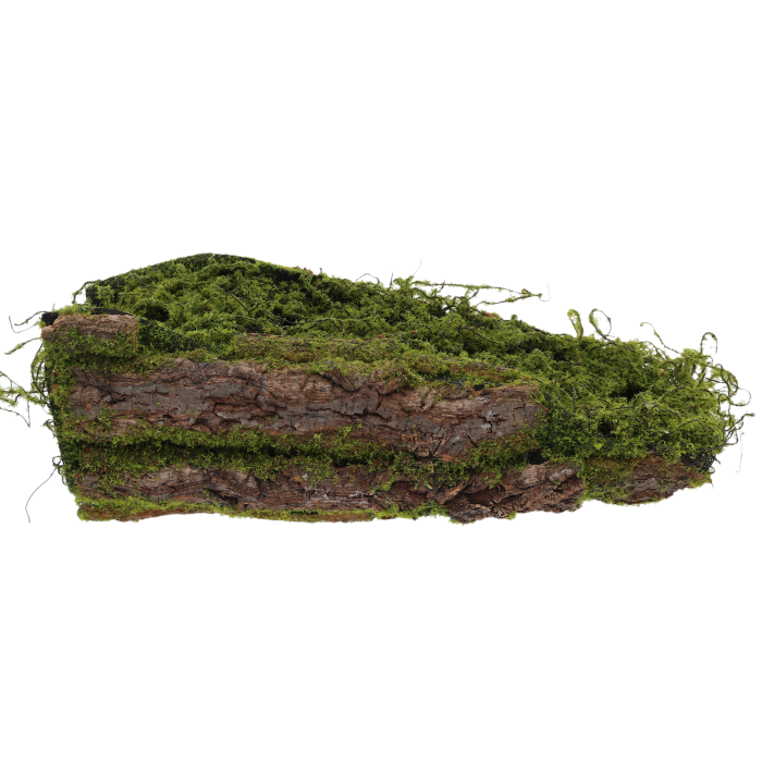Kora z mchem pod kompozycje 40 cm to naturalny podkład florystyczny, idealny jako baza do stroików świątecznych i ozdób, prezentujący leśną fakturę z zielonym mchem.