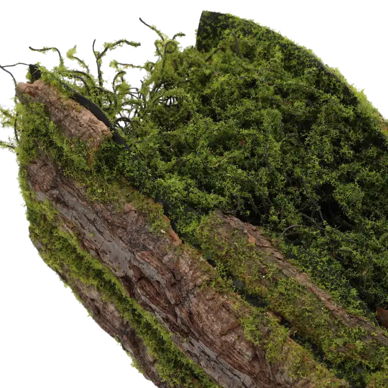 Zbliżenie na krawędź kory dekoracyjnej pokrytej sztucznym mchem, ukazujące naturalny wygląd drewna oraz precyzyjne wykończenie powierzchni podkładowej.