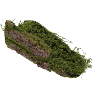 Ujęcie pod kątem na wydłużoną podstawę z naturalnej kory, która stanowi uniwersalny element do aranżacji bożonarodzeniowych, wielkanocnych oraz domowych wnętrz.