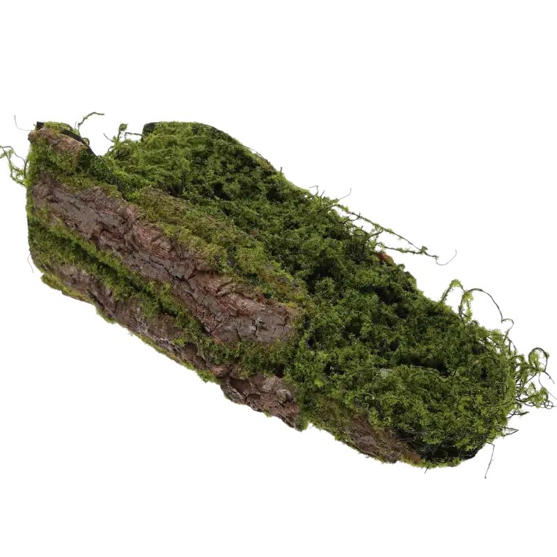 Ujęcie pod kątem na wydłużoną podstawę z naturalnej kory, która stanowi uniwersalny element do aranżacji bożonarodzeniowych, wielkanocnych oraz domowych wnętrz.