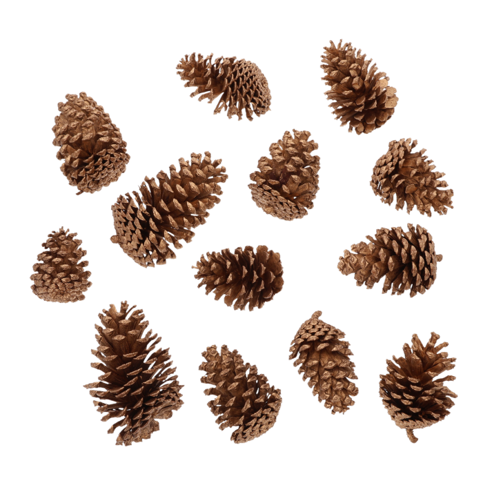 Zestaw 14 złotych szyszek o wysokości 7-14 cm. Naturalny susz kwiatowy idealny do kompozycji jesiennych i bożonarodzeniowych.