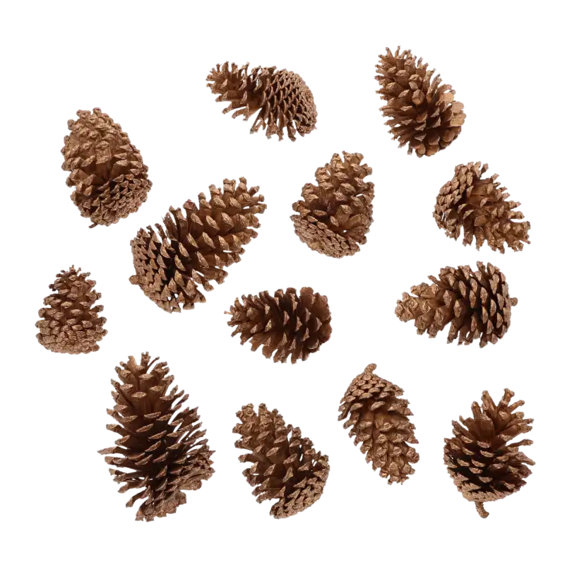 Zestaw 14 złotych szyszek o wysokości 7-14 cm. Naturalny susz kwiatowy idealny do kompozycji jesiennych i bożonarodzeniowych.