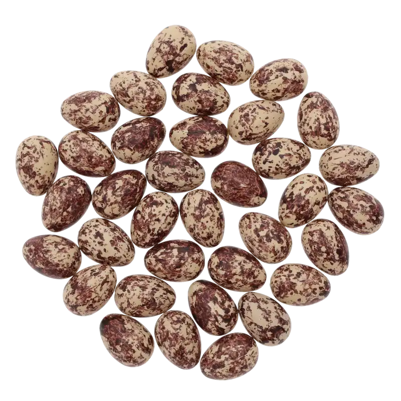 Zbiór 36 brązowych jajeczek wielkanocnych z nakrapianym wzorem. Pisanki o wymiarach 2,5x1,5 cm, wykonane z tworzywa, ułożone na płaskim tle.