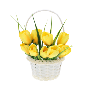 Kremowy koszyczek 11 cm wypełniony bukietem żółtych tulipanów, idealna wiosenna kompozycja dekoracyjna.
