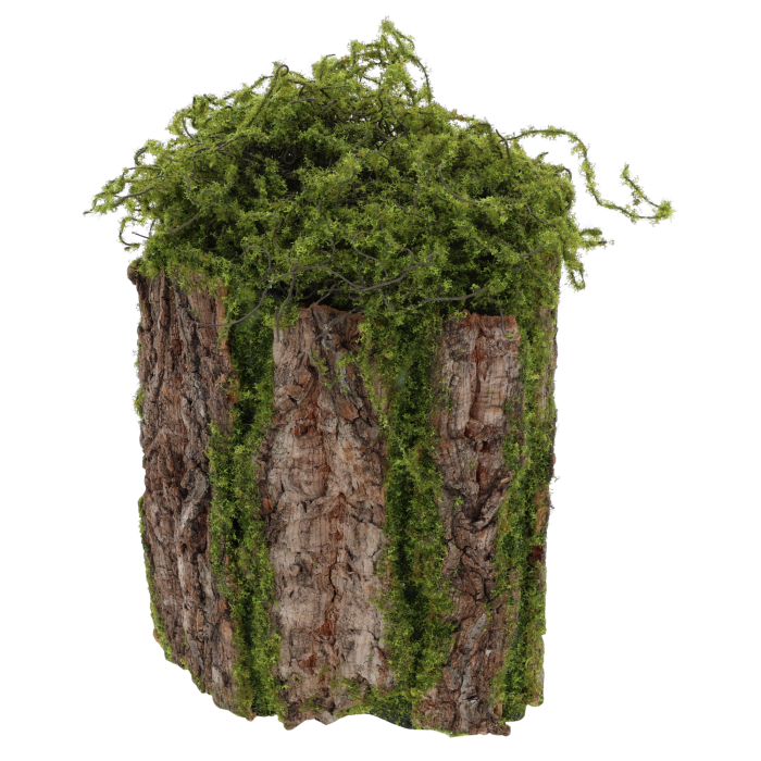 kora dekoracyjna, kora z mchem, mech dekoracyjny, kora do stroików, dekoracja z mchu, mech naturalny, kora dekoracyjna 22x15 cm, dekoracja leśna