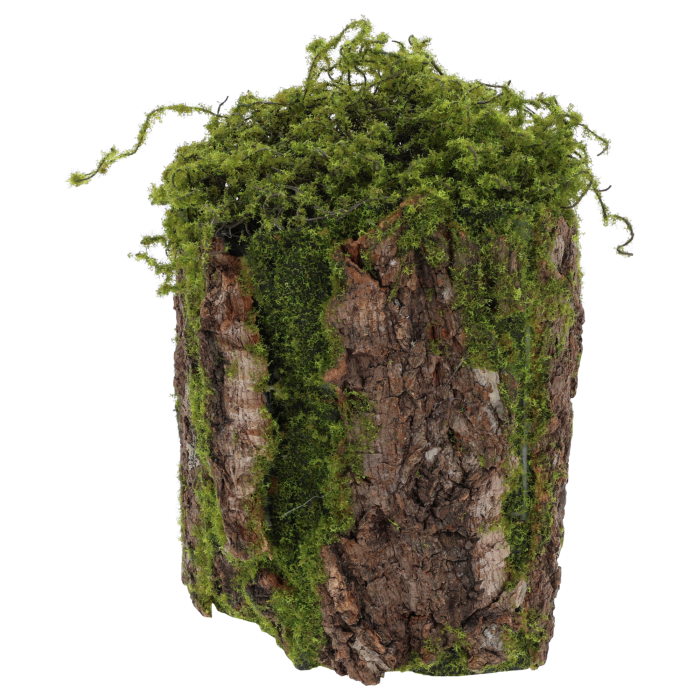 kora dekoracyjna, kora z mchem, mech dekoracyjny, kora do stroików, dekoracja z mchu, mech naturalny, kora dekoracyjna 22x15 cm, dekoracja leśna