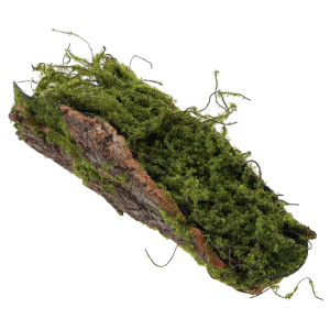 Naturalna kora dekoracyjna 27 cm z imitacją zielonego mchu. Idealna jako drewniana baza do kompozycji florystycznych i stroików.