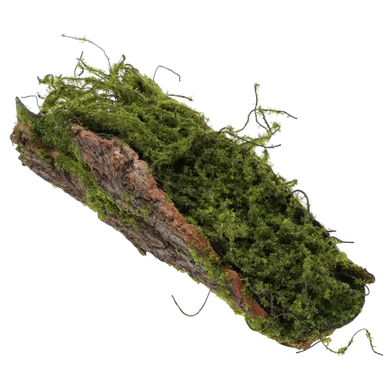 Naturalna kora dekoracyjna 27 cm z imitacją zielonego mchu. Idealna jako drewniana baza do kompozycji florystycznych i stroików.