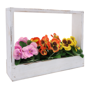 Biała drewniana skrzynka 30x8x40 cm z postarzanym wykończeniem, wypełniona kolorowymi kwiatami jako dekoracja wnętrza.