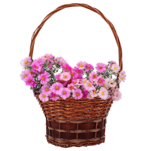 Brązowy kosz kwiatowy M z wikliny z wypełnieniem z różowych kwiatów. Naturalna baza z folią ochronną do kompozycji florystycznych.