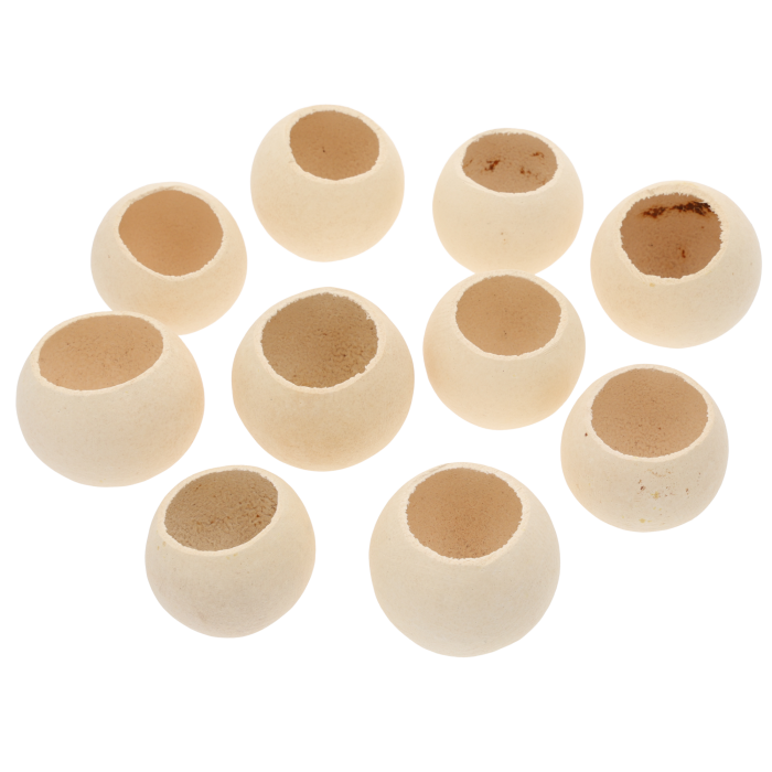 Zestaw 10 sztuk suszu egzotycznego Bell Cup o średnicy 6-8 cm. Naturalne główki w jasnym kolorze, gotowe do kompozycji florystycznych.