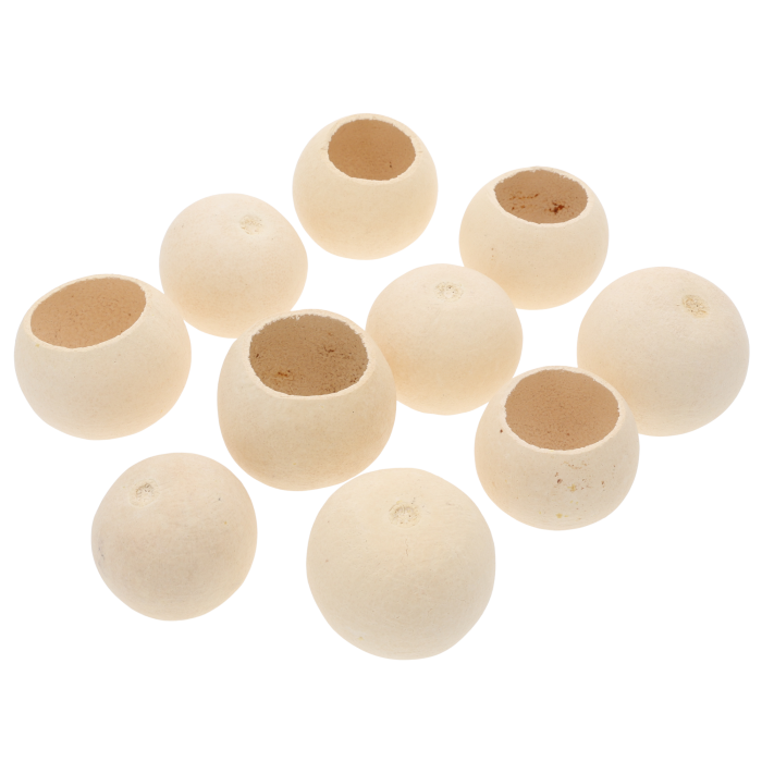 Widok na grupę suszu Bell Cup, prezentujący różnorodne ułożenie główek o średnicy 6-8 cm w jasnym, naturalnym odcieniu.