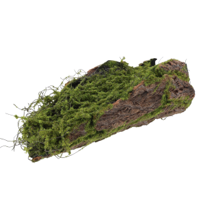 Kora dekoracyjna 37 cm pokryta naturalnym mchem. Idealna baza do tworzenia leśnych kompozycji florystycznych i stroików.